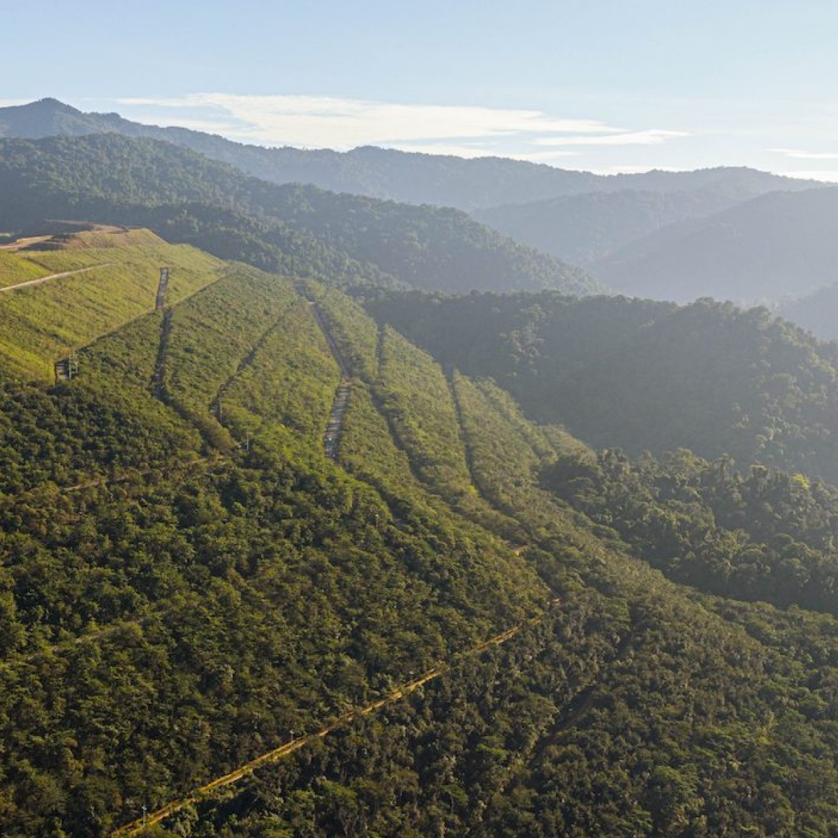 Program reklamasi AMMAN berjalan bersamaan dengan operasional pertambangan