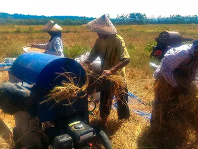 Dari Sumbawa Barat ke Singapura, Perjalanan Ary dari Buruh Tani Jadi Ahli TI