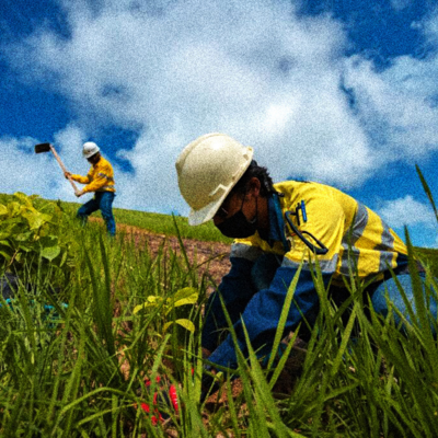 Tingkatkan Efektivitas Reklamasi, AMMAN Adopsi Teknologi Terkini