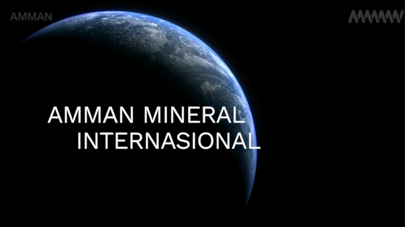 AMMAN Company Profile