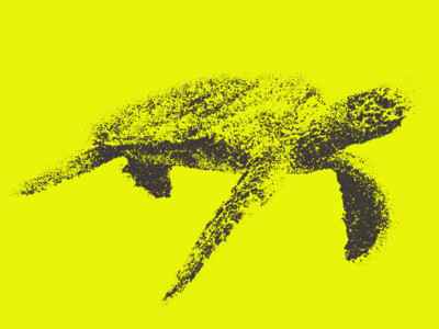 Laporan Keuangan Q3/2023 AMMAN - Pulih Pasca Semester Pertama 2023 yang Penuh Tantangan